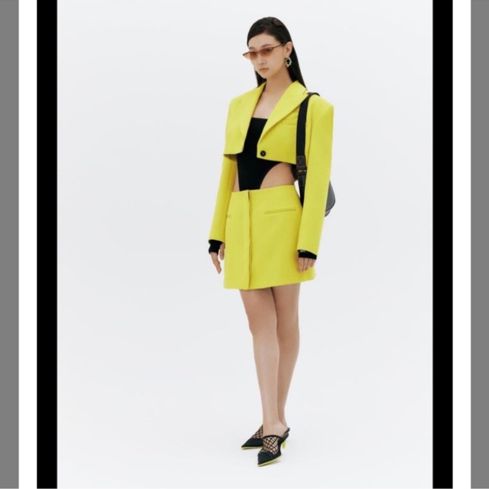 Zara x purple magazine blazer dress